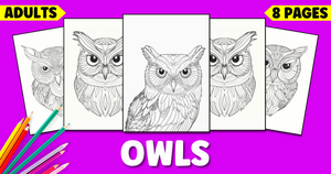 Realistic Owl Coloring Pages for Adults